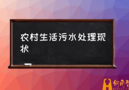 农村污水处理最大容量？(农村生活污水处理现状)