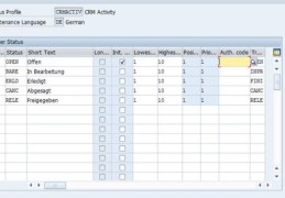 SAP CRM的状态管理和权限控制的集成是怎样的