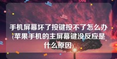 手机屏幕坏了按键按不了怎么办(苹果手机的主屏幕键没反应是什么原因)