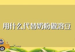 用什么代替奶粉做溶豆(用哪些东西代替奶粉做溶豆)