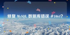 修复 MySQL 数据库错误 #1064？