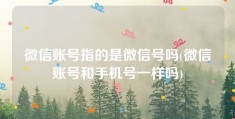 微信账号指的是微信号吗(微信账号和手机号一样吗)