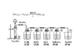 高中化学浓硫酸可以干燥二氧化硫吗气体吗