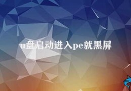 u盘启动进入pe就黑屏(如何解决U盘启动进入PE黑屏的问题)