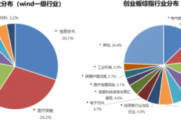 创业版股票的特点和对投资者的要求？ 　(什么是创业板股票)