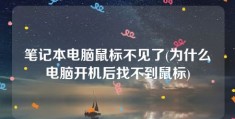 笔记本电脑鼠标不见了(为什么电脑开机后找不到鼠标)