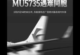 MU5735坠机详细过程（东航MU5735坠落的详细介绍）