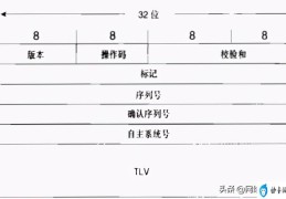 tlv格式数据解析案例(tlv协议格式应用)