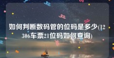 如何判断数码管的位码是多少(12306车票21位码如何查询)