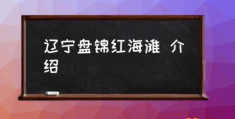 介绍 红海滩免门票规定？(辽宁盘锦红海滩)