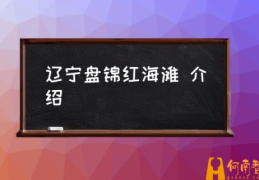 介绍 红海滩免门票规定？(辽宁盘锦红海滩)