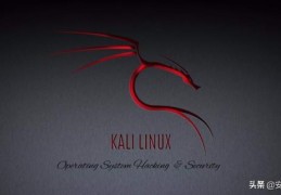 pe装linux系统怎么安装（安装kalilinux详细步骤）