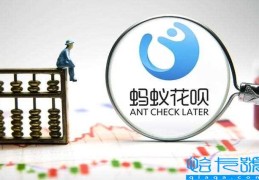 没店铺申请支付宝商家收款码(不是商家怎么开通花呗收款功能)