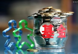 申万菱信基金公司怎么样?2020年行业排名引关注