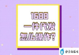 1688一件代发详细步骤(1688一件代发怎么操作)