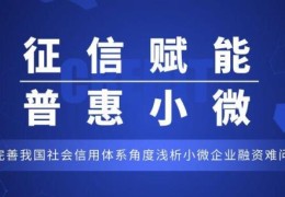 小微企业信用体系建设的有关举措(中小微企业到底应该如何积累自己的信用)