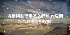 流量限制使用怎么解除(PC应用怎么取消网络权限)