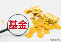 新手需要了解基金的哪些基本内容(基金怎么玩)