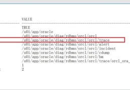 使用Oracle跟踪文件的问题详解