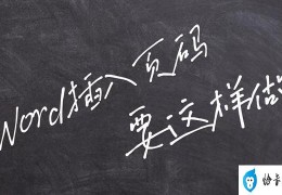 word文档怎么加页码(word插入页码的详细方法步骤)