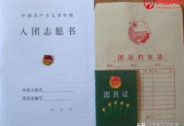 入团申请书的格式模板是怎样的(入团志愿书格式样本)