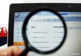 面试集锦：盘点session与cookie的区别