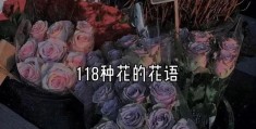 各种花的花语和寓意(118种鲜花花语合集)