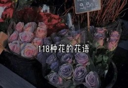 各种花的花语和寓意(118种鲜花花语合集)