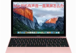 macbook强制开机方法(macbook开机声音怎么设置)