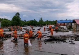 大兴安岭洪水淹没养殖场：300头猪水中奔跑