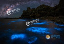 2021暑假不太热的旅游城市(暑假旅游这几个城市比较凉快)