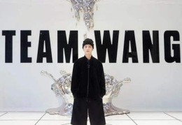 team(wang是什么牌子 王嘉尔成立的时尚潮牌)