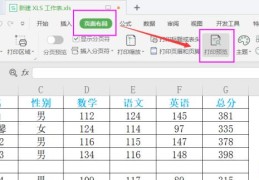 wps表格怎么调出打印预览(wps表格如何看打印预览)