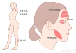 打瘦脸是否会在未来出现副作用？(瘦脸针的危害有什么副作用)