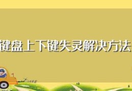 键盘上下键失灵解决方法(电脑键盘上下键失灵怎么办)