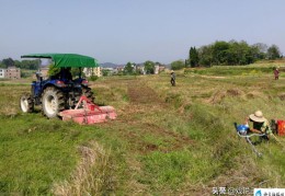 土地流转最新国家政策(农村土地流转新政策)