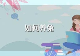 如何养兔(宠物兔子怎么养?)