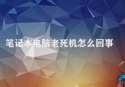 笔记本电脑老死机怎么回事(笔记本电脑老死机如何排查故障)