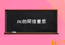 什么是互联网？(pc的网络意思)