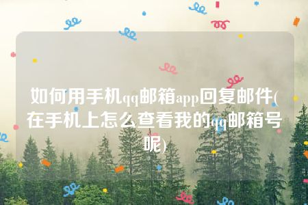 如何用手机qq邮箱app回复邮件(在手机上怎么查看我的qq邮箱号呢)