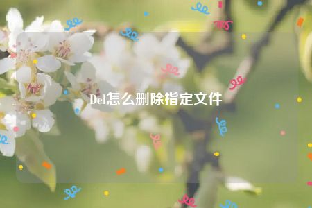 Del怎么删除指定文件