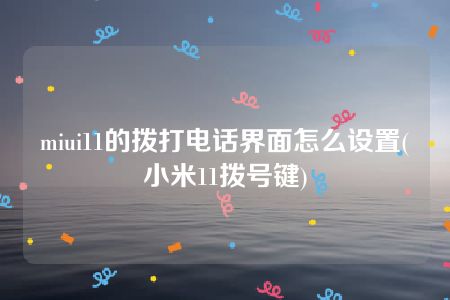 miui11的拨打电话界面怎么设置(小米11拨号键)