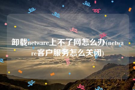 卸载netware上不了网怎么办(netware客户服务怎么关闭)