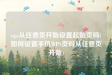 wps从任意页开始设置起始页码(如何设置手机WPS页码从任意页开始)