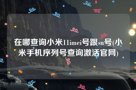 在哪查询小米11imei号跟sn号(小米手机序列号查询激活官网)