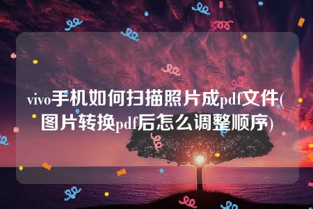 vivo手机如何扫描照片成pdf文件(图片转换pdf后怎么调整顺序)