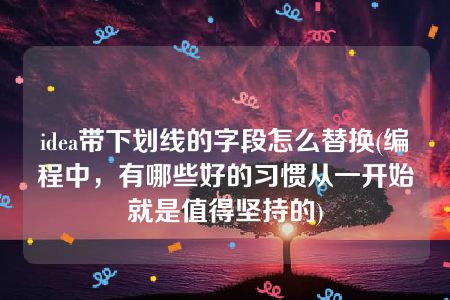 idea带下划线的字段怎么替换(编程中，有哪些好的习惯从一开始就是值得坚持的)