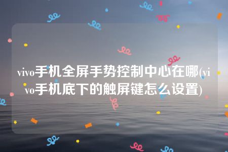 vivo手机全屏手势控制中心在哪(vivo手机底下的触屏键怎么设置)