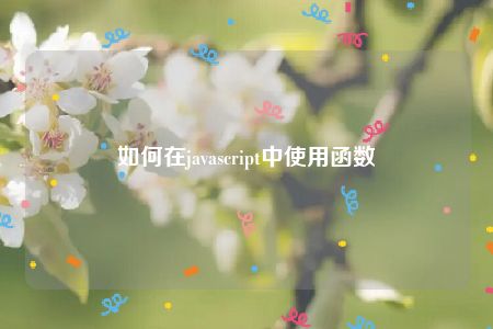 如何在javascript中使用函数