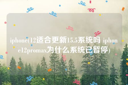 iphone(12适合更新15.5系统吗 iphone12promax为什么系统已暂停)